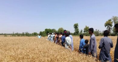 Fertilize Right, Emit Less A Climate-Smart Pathway for Pakistan