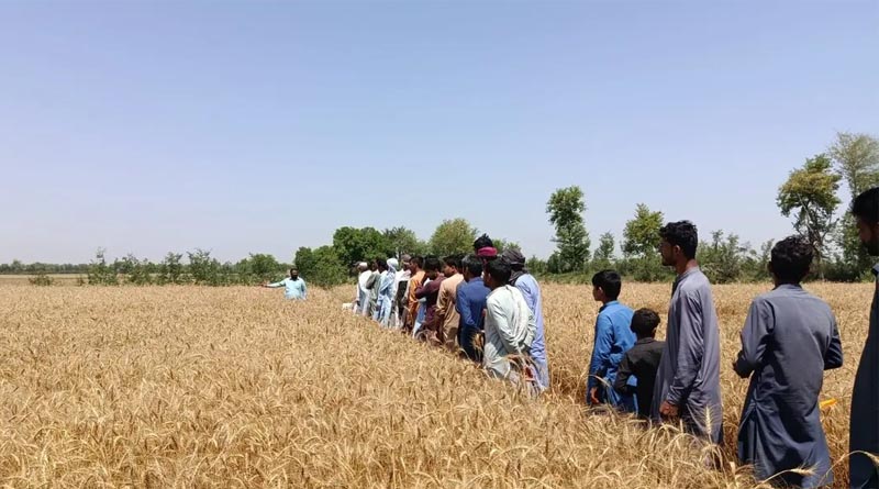 Fertilize Right, Emit Less A Climate-Smart Pathway for Pakistan