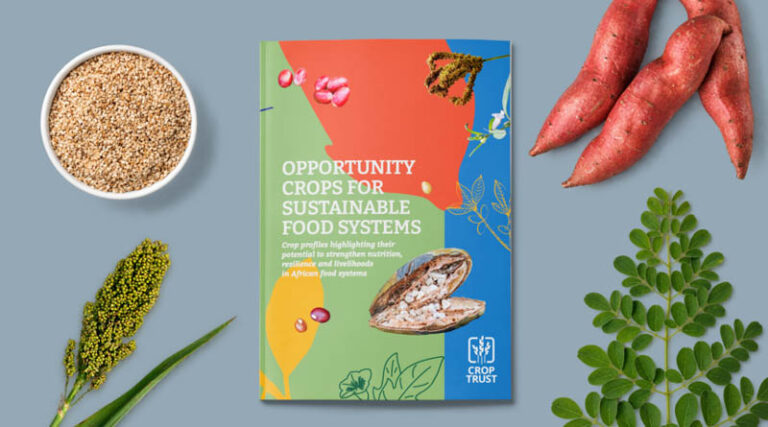 Fifteen Crops That Could Help Build More Resilient Food Systems
