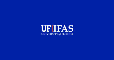 Florida Trials Compare New Nematicides for Carrot Growers