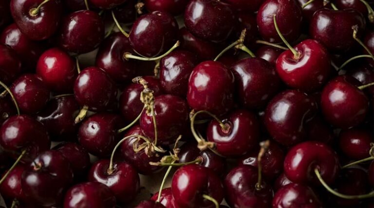 German Study Finds Autumn Spray Can Delay Cherry Bloom and Cut Frost Damage