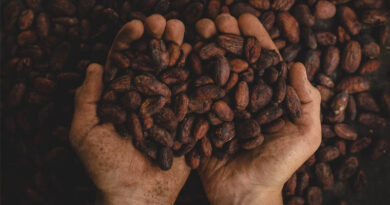 Ghana Proposes 6 Percent Cocoa Price Hike, Raising Fresh Smuggling Concerns