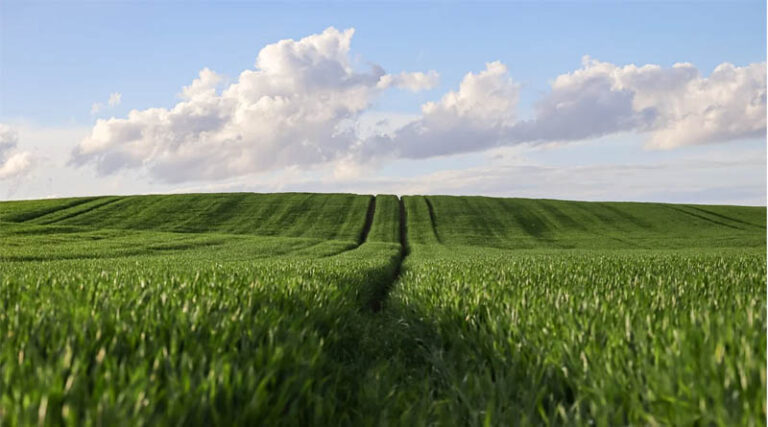 Global Fertilizer Prices Climb as Supply Stays Tight