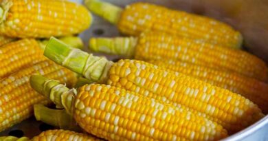 Global Food Prices Hit Three-Year High as Sugar Surges 11.9 Percent