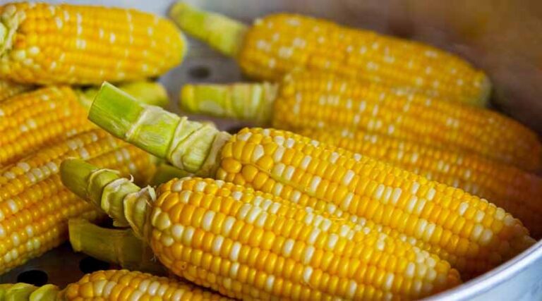 Global Food Prices Hit Three-Year High as Sugar Surges 11.9 Percent