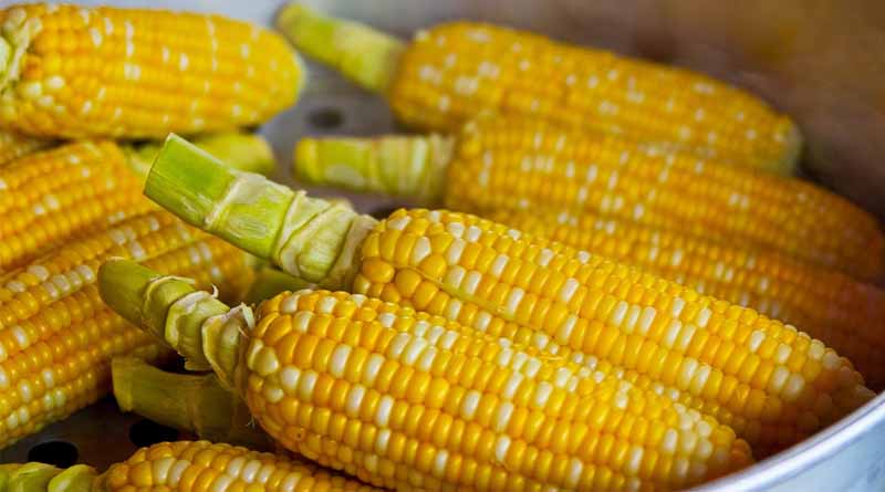 Global Food Prices Hit Three-Year High as Sugar Surges 11.9 Percent