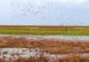 Global Water Challenge And Cargill Expand Partnership To Four Additional Countries