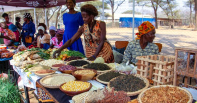 Good Seed, Great Food, And Living Culture Bring Mbire District To Life Good Seed, Great Food, And Living Culture Bring Mbire District To Life