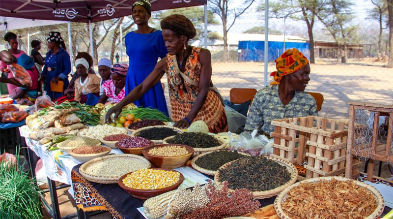 Good Seed, Great Food, And Living Culture Bring Mbire District To Life