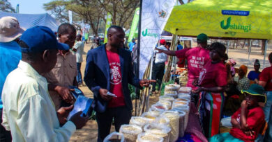 Good Seed, Great Food, and Living Culture Bring Mbire District to Life