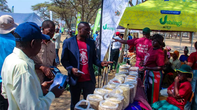 Good Seed, Great Food, and Living Culture Bring Mbire District to Life