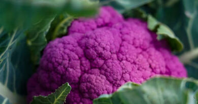 Growing Better Broccoli Together