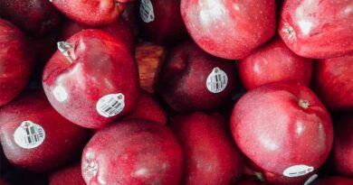 How to Build Global Brands in the Indian Horticulture Sector