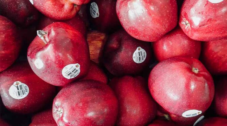 How to Build Global Brands in the Indian Horticulture Sector