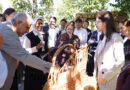 ICBA Marks UN South-South Cooperation Day with Farmers’ and Agro-Entrepreneurs Accelerator Graduation in Nukus, Uzbekistan