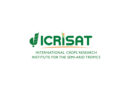 ICRISAT Wins Long-Term Funding to Protect Global Legume Seed Bank