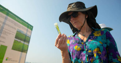 IRRI, Nottingham Scientists Join Forces To Develop Rice That Can Withstand Rising Temperatures
