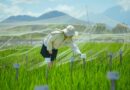 IRRI and CIMMYT Strengthen Collaboration To Accelerate Delivery Of Climate-resilient Crop Varieties