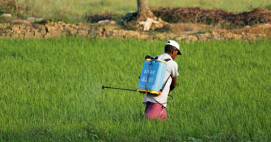India Bans Paraquat, Cancels Existing Certificates