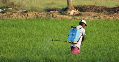 India Shifts Pesticide Industry to Digital-Only Licensing and Compliance from September 15