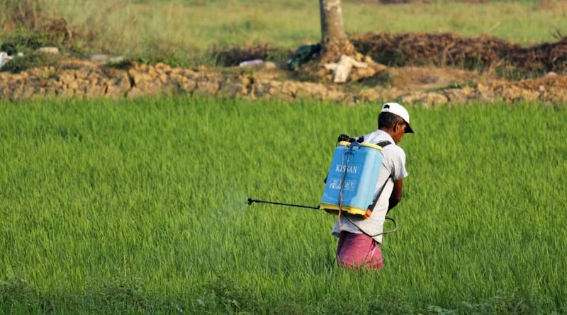 India Shifts Pesticide Industry to Digital-Only Licensing and Compliance from September 15