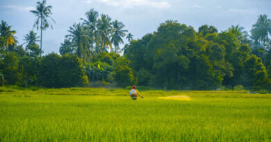 India’s 476th Registration Committee Meeting (CIB&RC) Clears New Pesticide Registrations for Key Crops