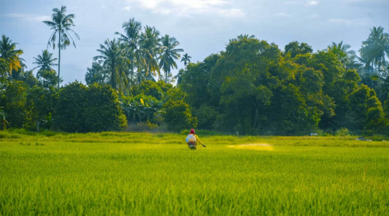 India’s 476th Registration Committee Meeting (CIB&RC) Clears New Pesticide Registrations for Key Crops