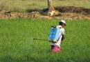 India's Digital-First Insecticide Licensing Rules Take Effect September 15