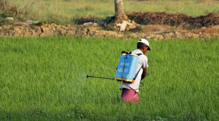 India's Digital-First Insecticide Licensing Rules Take Effect September 15