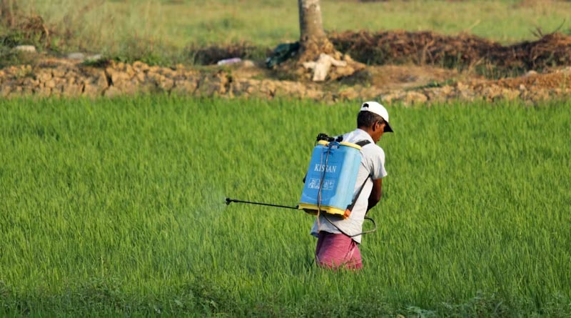 India's Digital-First Insecticide Licensing Rules Take Effect September 15