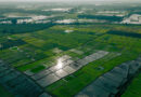India's Monsoon Ends in Deficit, Straining Kharif Crops