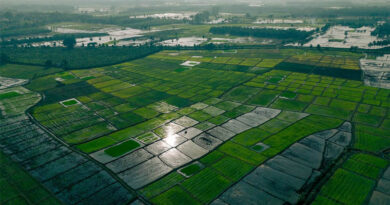 India's Monsoon Ends in Deficit, Straining Kharif Crops