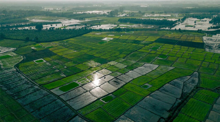 India's Monsoon Ends in Deficit, Straining Kharif Crops