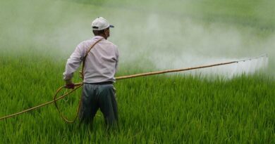 India's New Insecticides Rules Force Pesticide Industry Onto Digital Systems Starting Today