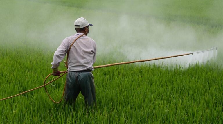 India's New Insecticides Rules Force Pesticide Industry Onto Digital Systems Starting Today