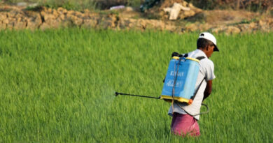 India’s Proposed Paraquat Ban Could Reshape Agrochemical Supply Chain