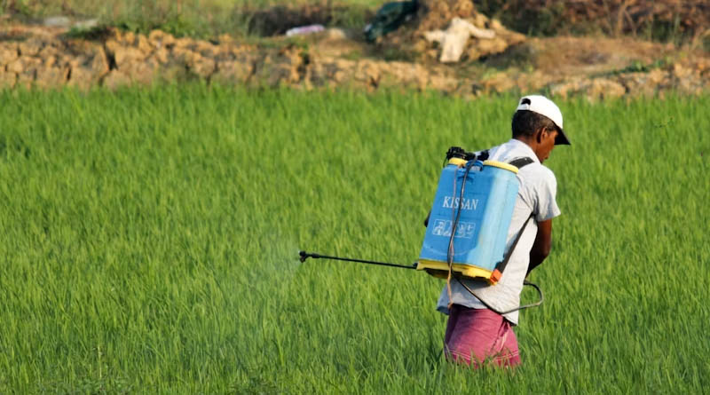 India’s Proposed Paraquat Ban Could Reshape Agrochemical Supply Chain