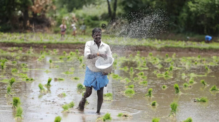 India's Rice Exporters Flag Pesticide Residue Compliance Gaps as Shipment Rejections Mount