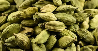 India’s Spices Board Warns Exporters Over Thailand’s Pesticide Residue Standards