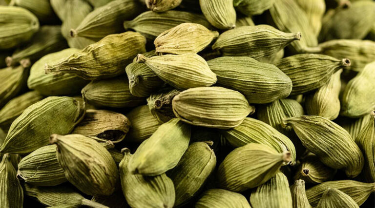 India’s Spices Board Warns Exporters Over Thailand’s Pesticide Residue Standards