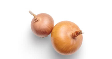 Japanese Researchers Use CRISPR to Edit the Tears Out of Onions
