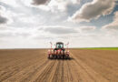 Kansas Farmers Expand Perennial Grain Kernza as Extreme Weather Reshapes Planting Decisions