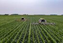 Low-Cost Laser Weeding Robot Built for Smallholder Farms Passes Field Tests in Canada and Tanzania