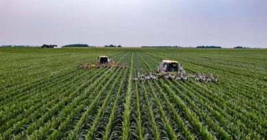 Low-Cost Laser Weeding Robot Built for Smallholder Farms Passes Field Tests in Canada and Tanzania