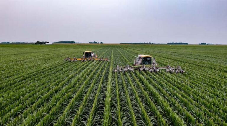 Low-Cost Laser Weeding Robot Built for Smallholder Farms Passes Field Tests in Canada and Tanzania
