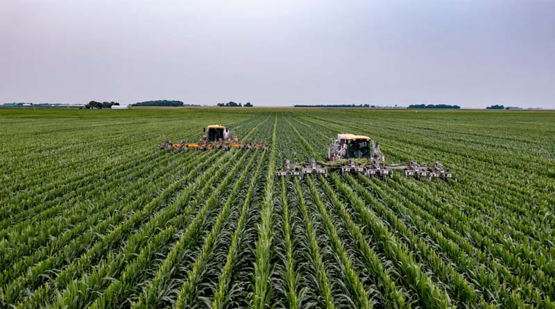 Low-Cost Laser Weeding Robot Built for Smallholder Farms Passes Field Tests in Canada and Tanzania