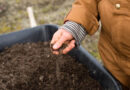 MacEwan University Pairs Cheap Soil Test With VR Training for Global Farmers
