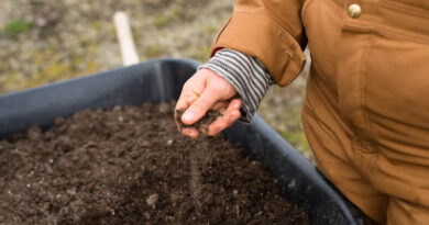 MacEwan University Pairs Cheap Soil Test With VR Training for Global Farmers