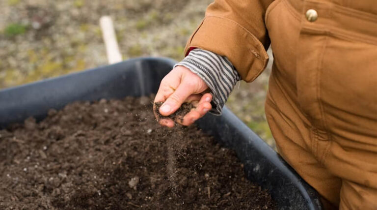 MacEwan University Pairs Cheap Soil Test With VR Training for Global Farmers