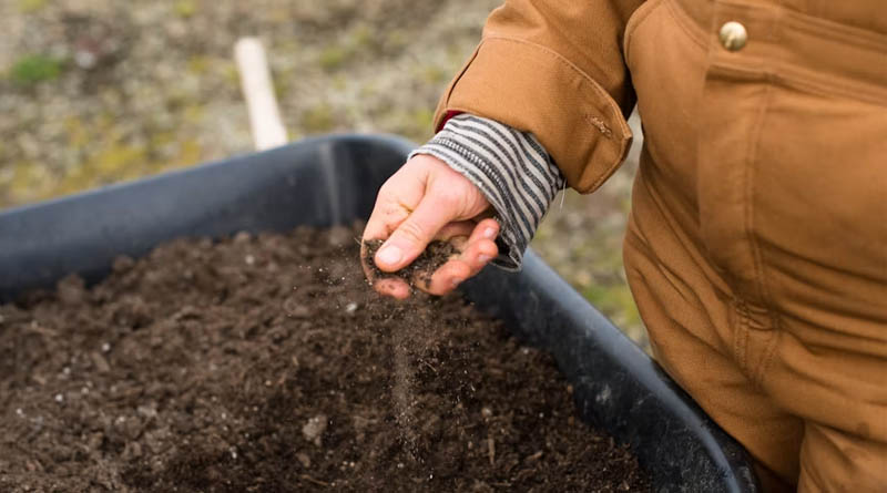 MacEwan University Pairs Cheap Soil Test With VR Training for Global Farmers